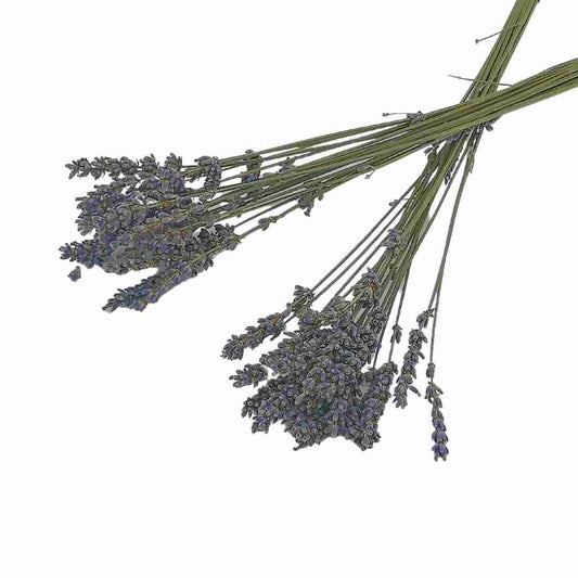 Dried flowers: Lavender